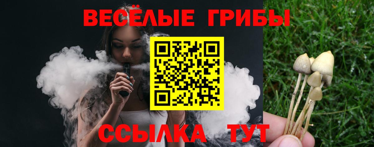 Галлюциногенные грибы прущие грибы Дубна